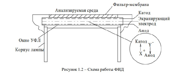 5.png 5.png